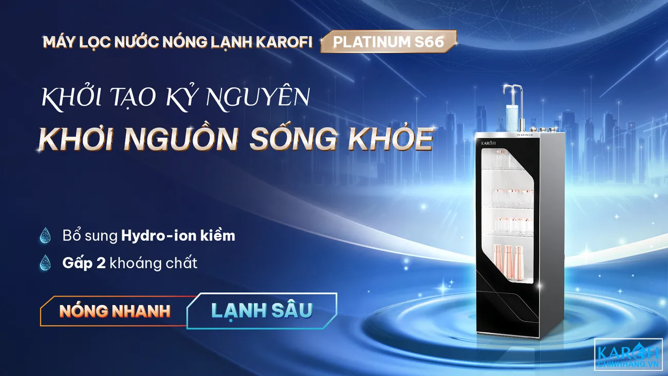 tsp-platium-s66-kinh-moi-01