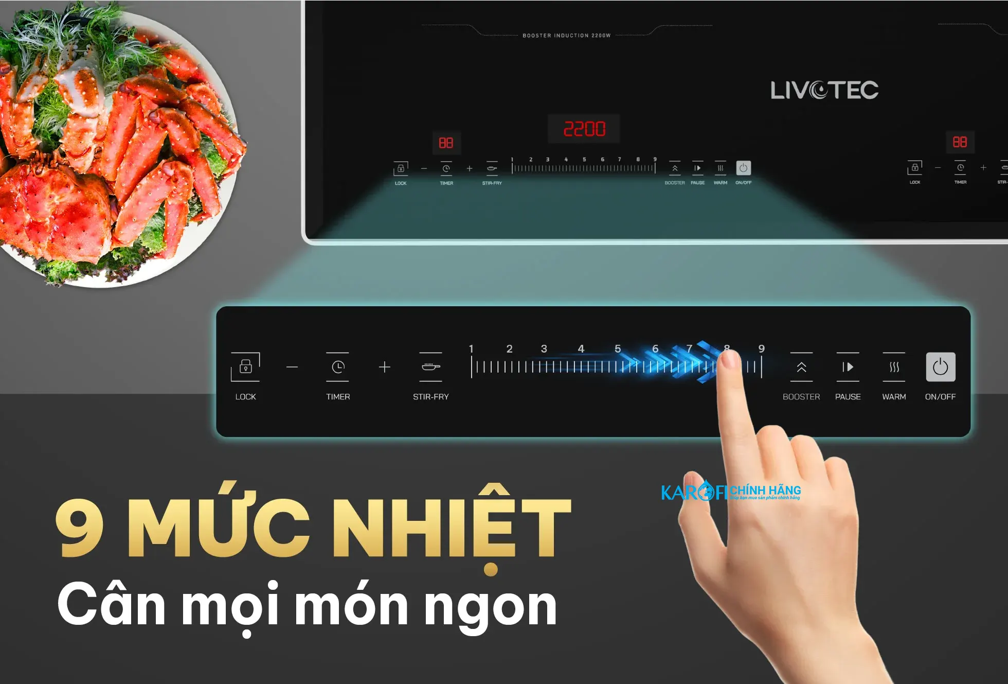 Bếp điện từ Livotec LID-990M