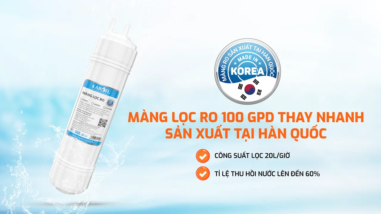 Máy lọc nước nóng lạnh Karofi Livotec 629