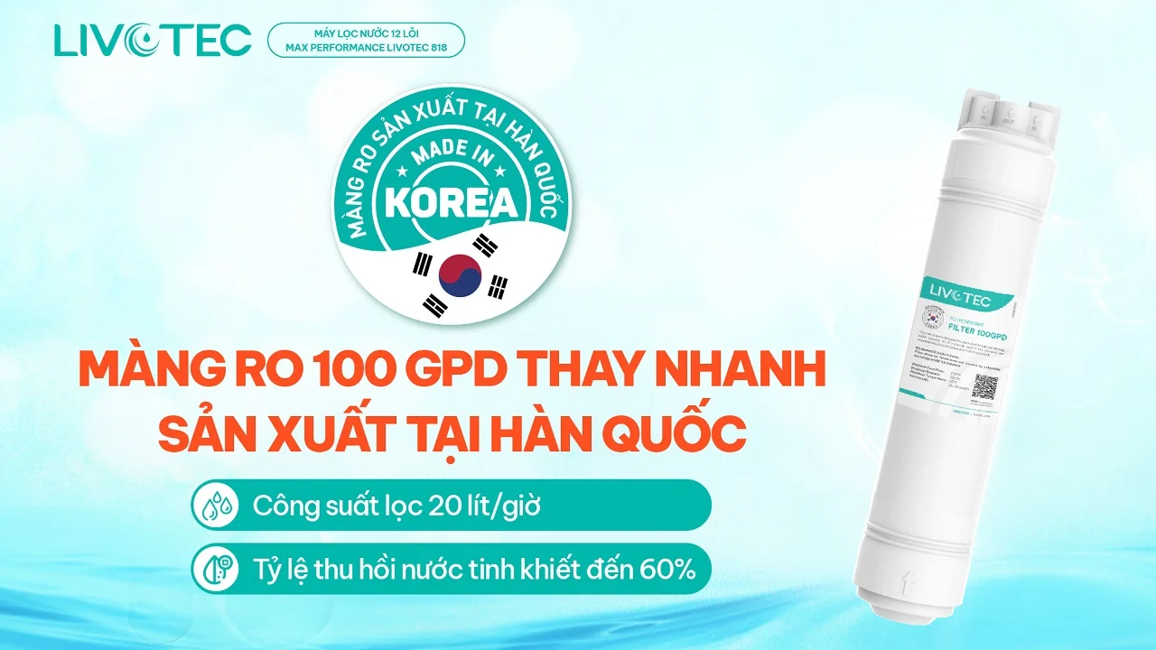 Máy lọc nước Livotec 818